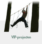 vip projecten